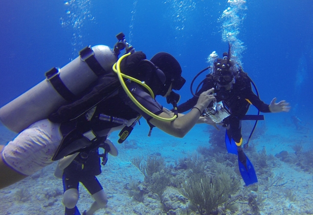  Scuba divers 