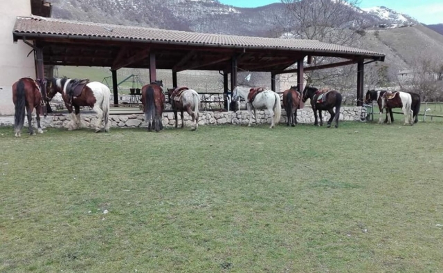  Nossos cavalos passam 