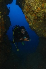  Flora y fauna Marine 