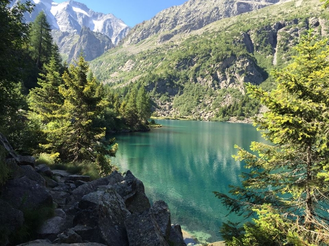 ecco dove lavoriamo