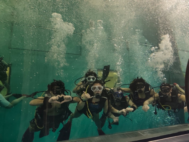  Diving 