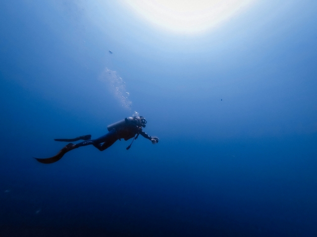 Blue Brothers Scuba Center