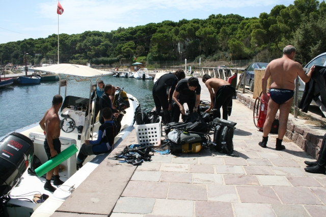  The return from the dive 