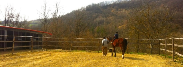  我们的骑术学校 