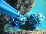  Spearfishing course 