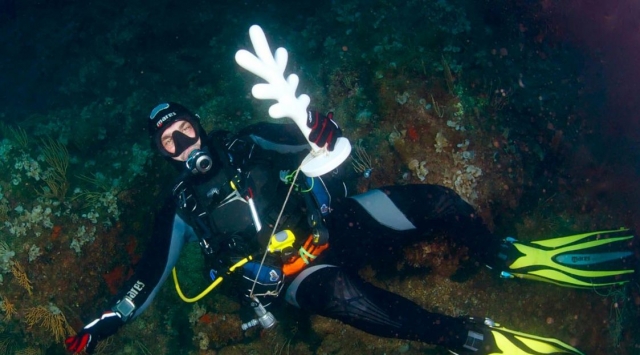 Cours de différents niveaux 