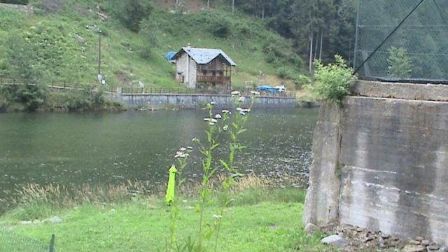  Riva 