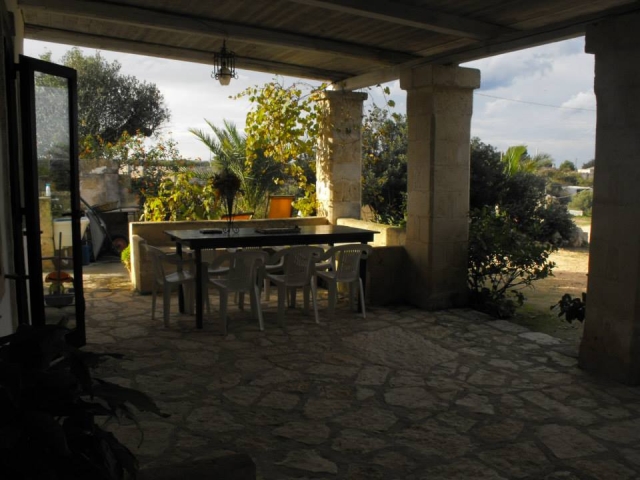  A quiet day in the shade 