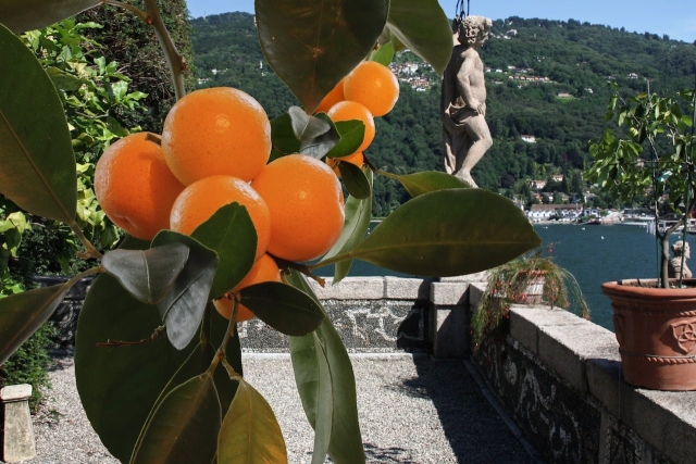  Molo-Isola-Madre 