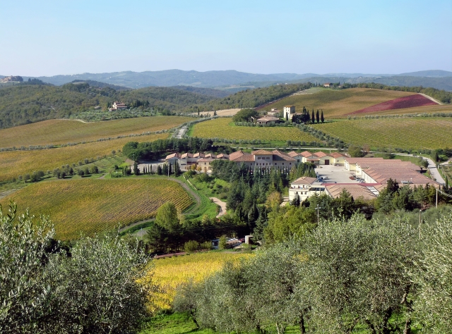 colline senesi