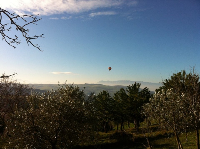  Ballon et oliviers