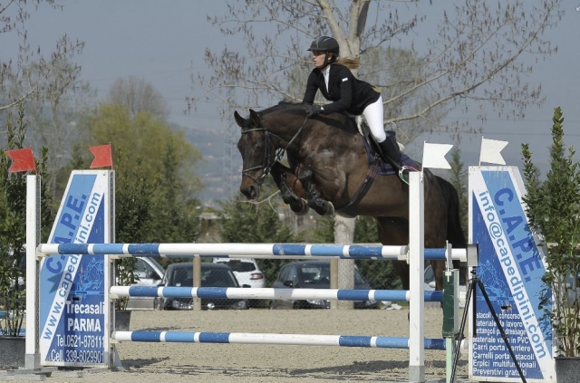 Competencia 