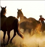  American Mountain School 