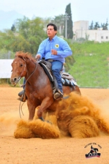  Pilgrim Ranch American Riding School 