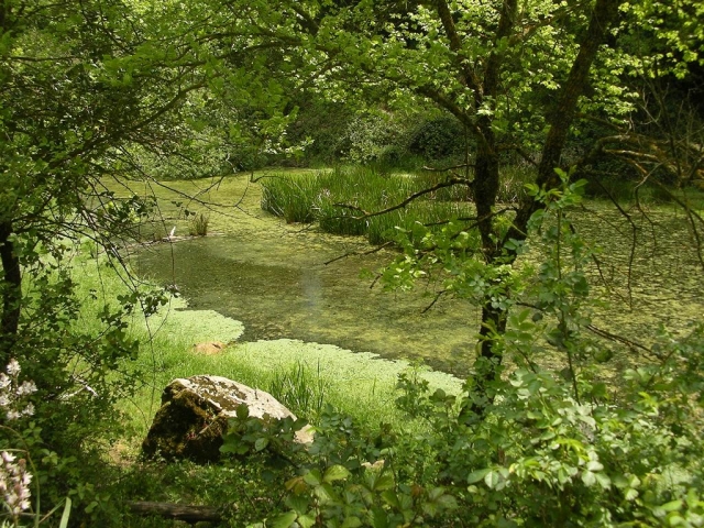  ZUM TOTEN SEE 