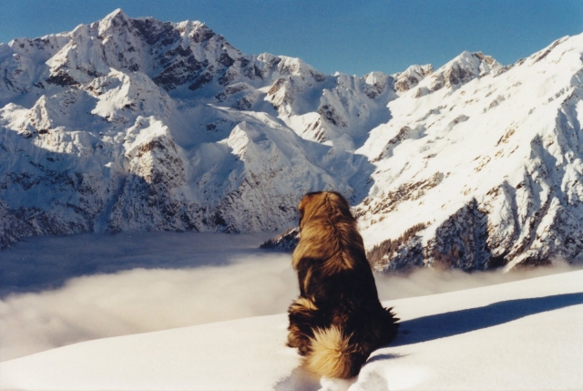  Wolkenmeer von Alpe Sattal2_Italienische Alpen 