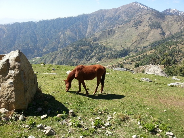 e-19687637-escursione-a-cavallo-in-montagna14867328494039.jpg