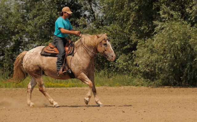 Lezione a cavallo