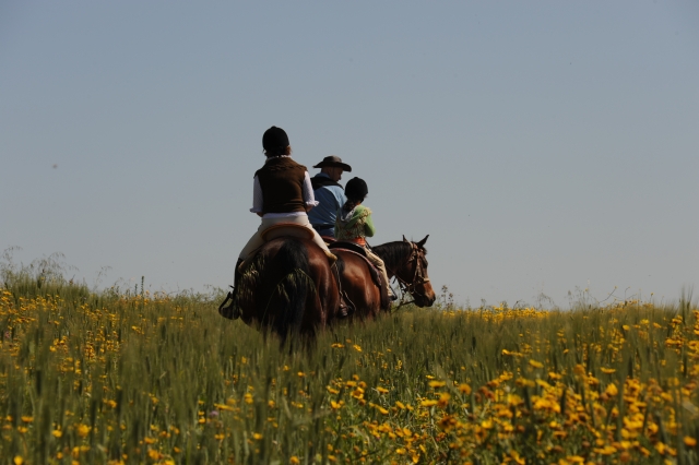 Caminata de caballos 