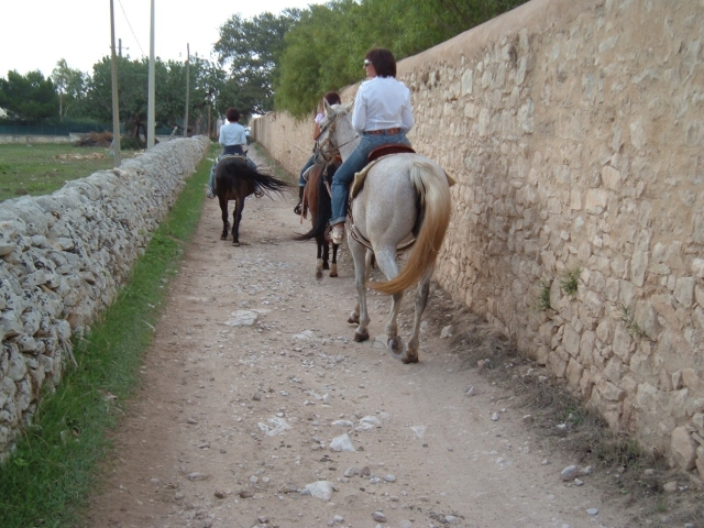  Excursión al castillo de Donnafugata 