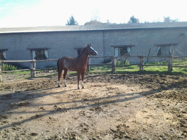  Melazza Ranch A.s.d. 