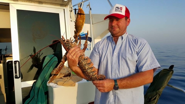  Lobster 
