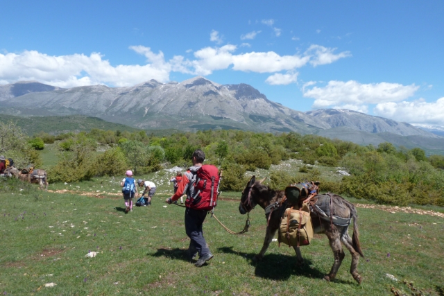  Caminhando com burros 