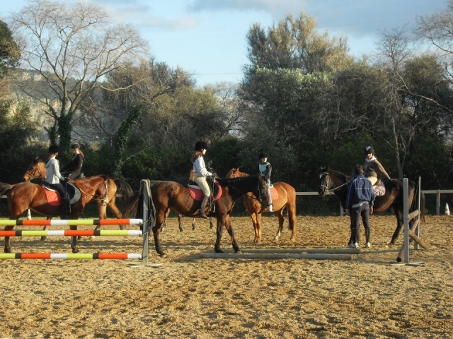  Riding lessons 