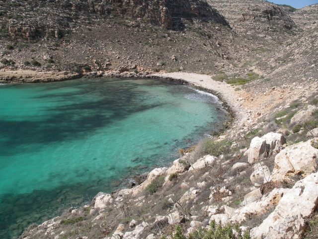  未受污染的海湾 