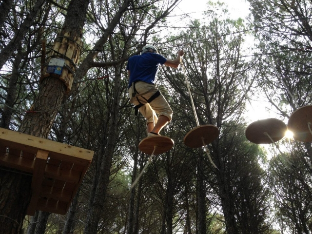 Percorso tra gli alberi