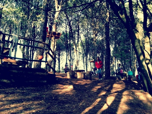 zona pic-nic