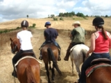  Equestrian tourism 