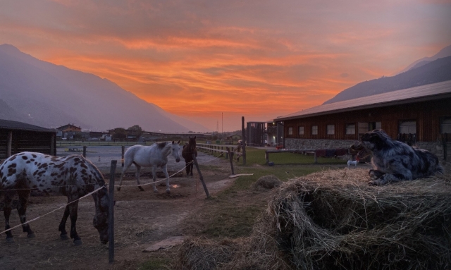 Tramonto in struttura