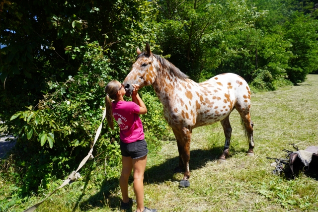 Il nostro cavallo bellissimo