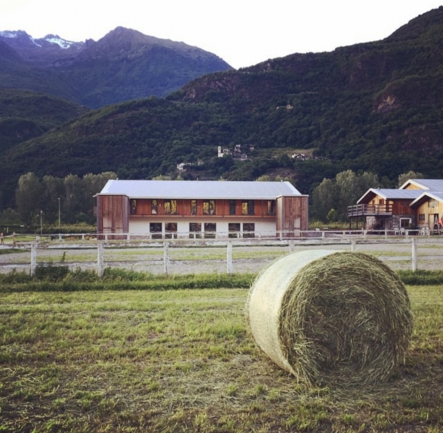 Balle di fieno