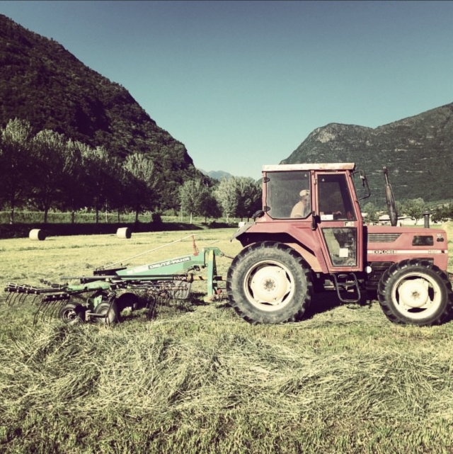 Trattori a lavoro
