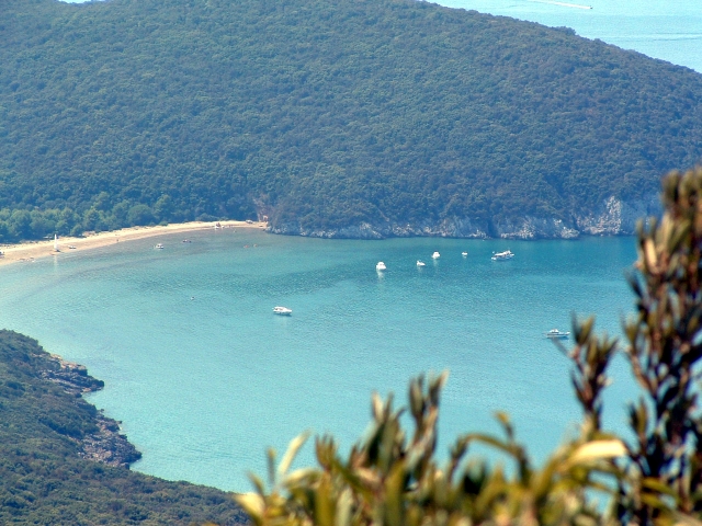 Cala di forno