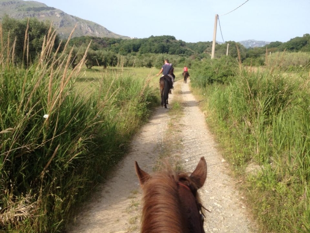  excursion in the countryside 