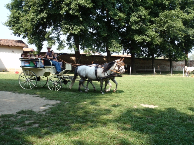  Caminhadas no carruagem 