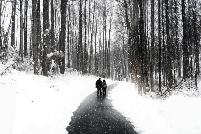  beautiful winter views