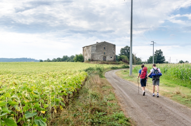  A piece of the via Francigena 