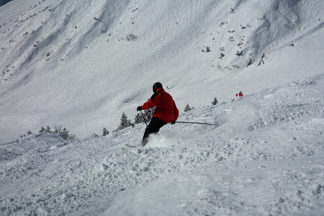 ski3 