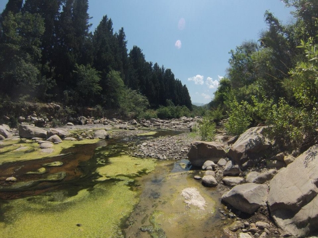  Trekking in Richtung der Tiberio-Schluchten (Madonie-Park) 