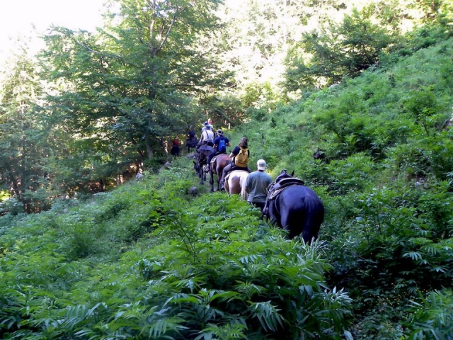 Reittrekking mitten in der Natur 