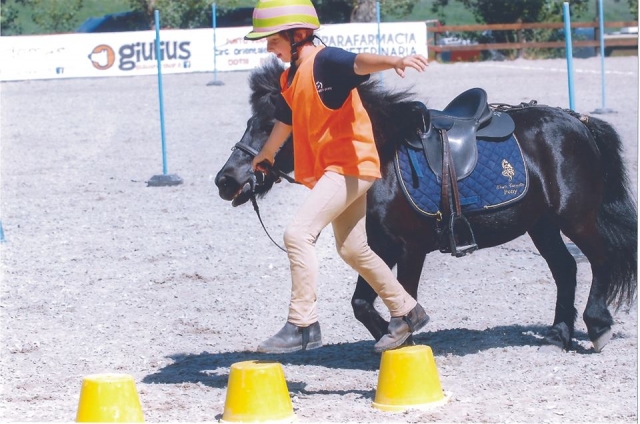  Aprender a vivir con el caballo 