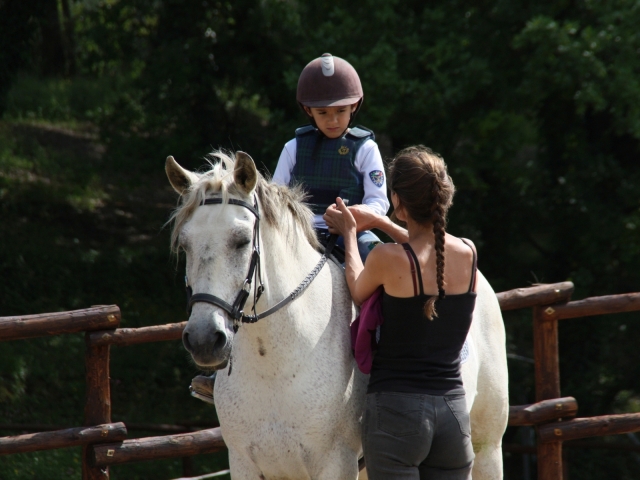  nos chevaux 