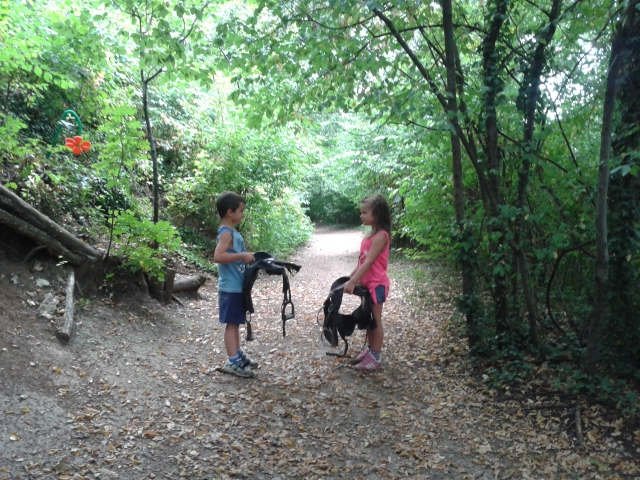 Alla scoperta di cavalli