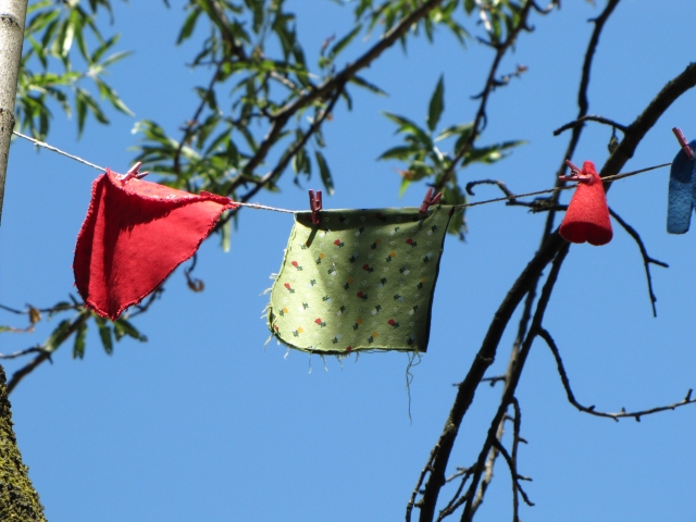 Panni stesi degli Gnomi