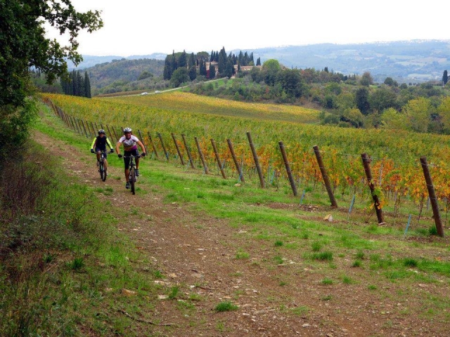  Faire du vélo en automne 