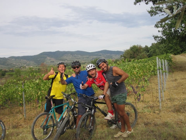  Parmi les oliveraies toscanes